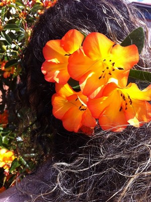 Invasive plants 2 Invasive plants 2